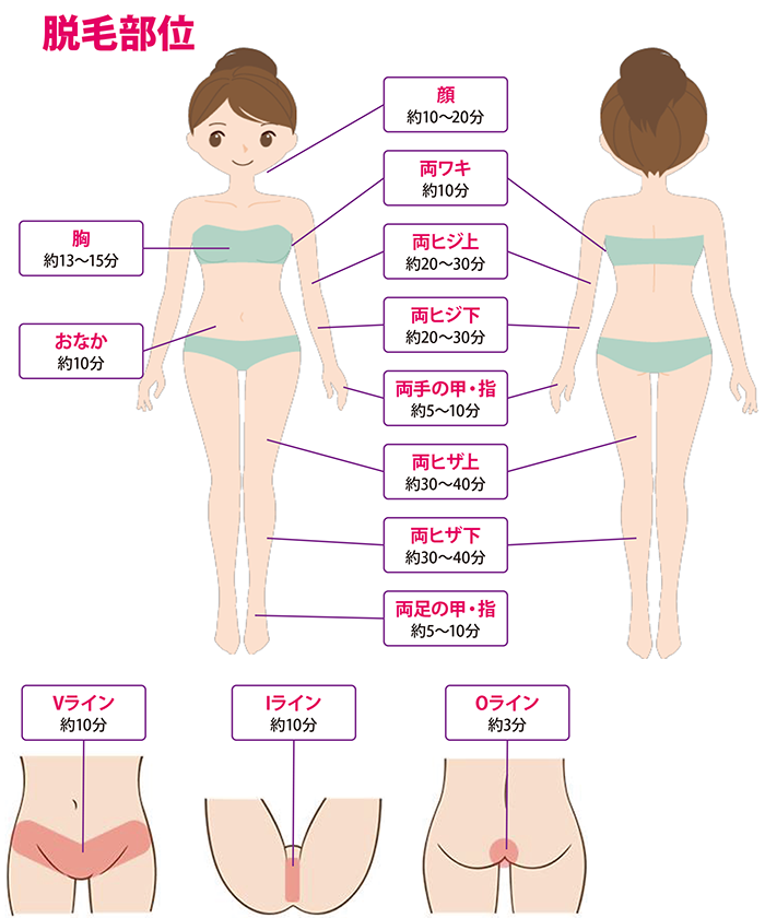 脱毛箇所・時間
