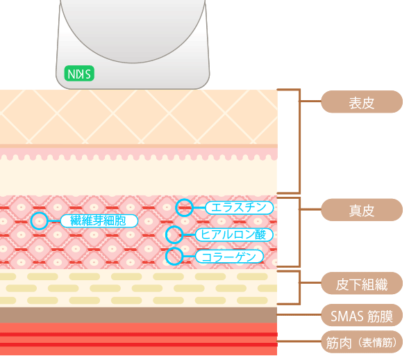 フェイシャル説明